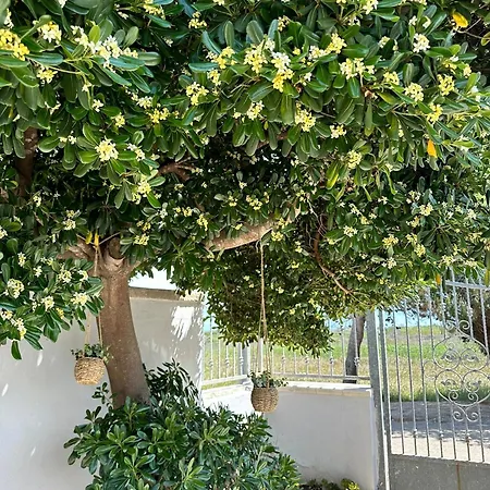 Relaxing Time Casa vacanze