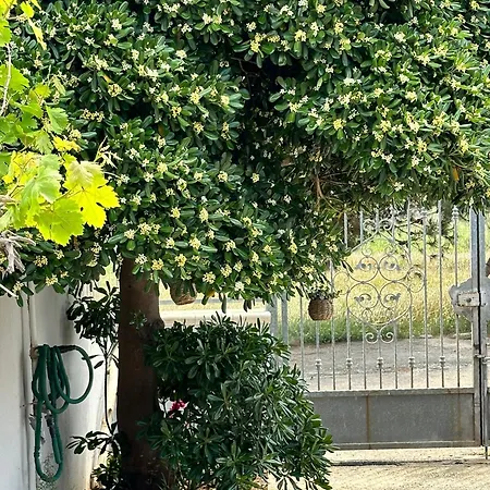 بيت للعطل Relaxing Time ليتشي