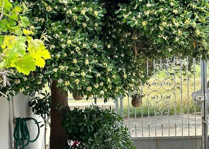 بيت للعطل Relaxing Time ليتشي