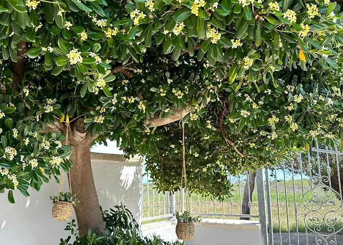 Relaxing Time بيت للعطل